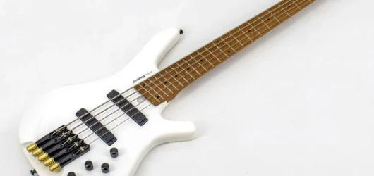 Baixo Strinberg Headless: A Revolução Acessível no Mundo dos Contrabaixos